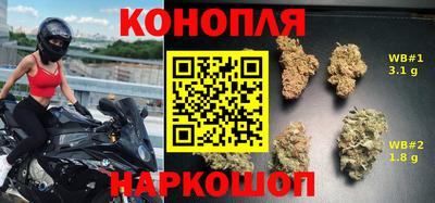 гидропоника Обь