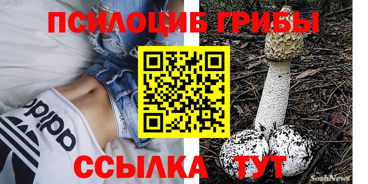 Псилоцибиновые грибы ЛСД Подольск